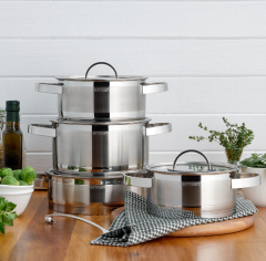 Emsan Karya 8 Parça Tencere Seti