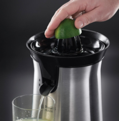 RUSSELL HOBBS 22760-56 NARENCİYE SIKACAĞI