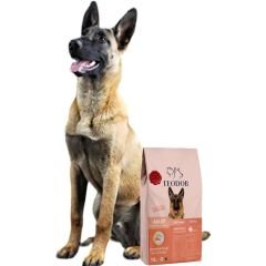 Teodor Adult Somonlu ve Pirinçli Yetişkin Köpek Maması 15 Kg